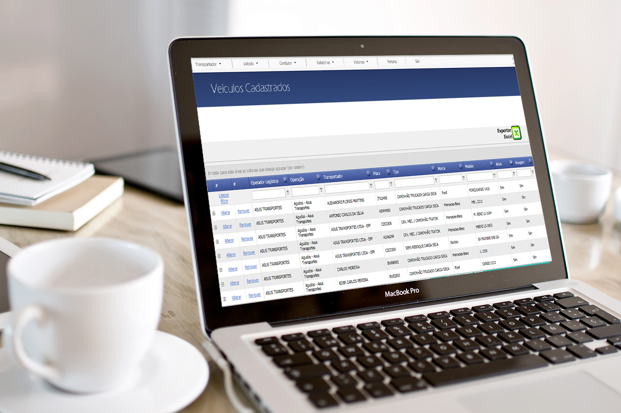 Tela do sistema - Veículos Cadastrados